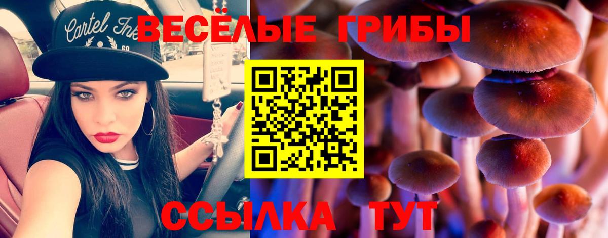 Нарьян-Мар  Псилоцибиновые грибы ЛСД  Псилоцибиновые грибы Cubensis  Вход с VPN 