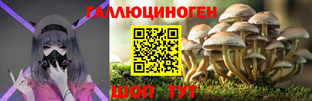 Галлюциногенные грибы Cubensis Нарьян-Мар